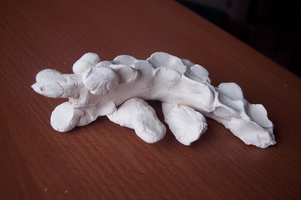 100_3466_resize